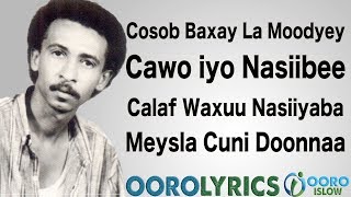 SAYID ALI GOOBE 2019 XUSUUSTII GAYWAROOW HEESTII COSOB BAXAY LA MOODYEEY LYRICS [upl. by Urissa663]