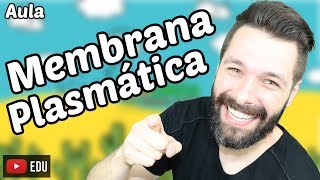 Membrana Plasmática  Funções e Estrutura  Biologia com Samuel Cunha [upl. by Notsek704]