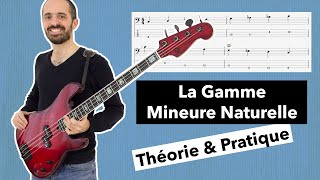 La Gamme Mineure Naturelle  Théorie amp Pratique 🎸 Cours de Basse Débutants [upl. by Lyreb]