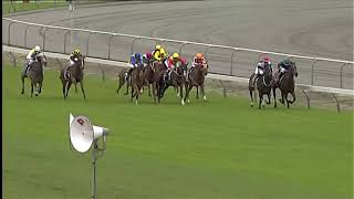 Race Replay Matamata Breeders Stakes  23 February [upl. by Aerdnael]