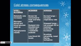 Hypothermia in the neonate [upl. by Thayne]