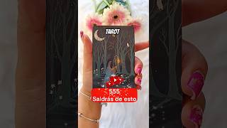 tarot 555 Saldrás de esto tarot tarotreading tarotyoutube tarotshorts tarottoday tarotusa [upl. by Annalla99]