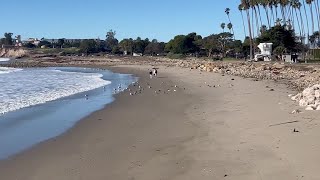 Goleta Beach holds up after the recent storms [upl. by Lyris672]