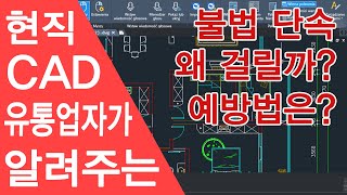 현직 캐드 유통업자가 알려주는 불법 단속 걸리는 이유와 예방법 [upl. by Fairley]