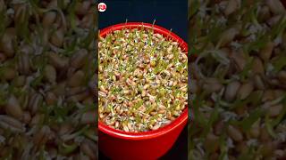 Health Tips  wheat grass 🌾  seed germination  shorts trendingshorts [upl. by Brander]