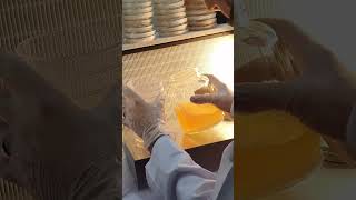 agar plate pour 10 plates with lme and peptone [upl. by Janina]