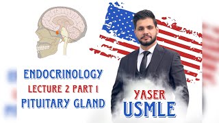 Endocrine Lecture 2a Pituitary gland USMLE Step1  Dr Yaser [upl. by Landre]