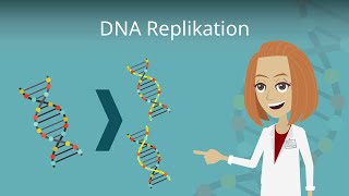 DNA Replikation einfach erklärt [upl. by Phylis447]