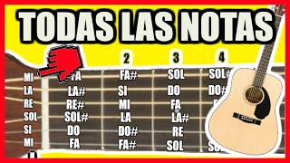 🎸Todas las notas en la GUITARRA  Notas musicales en la guitarra teoría musical [upl. by Rudy]