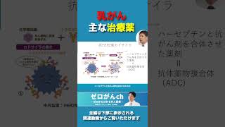 乳がん主な治療薬 〜抗HER2薬と分子標的薬〜！ [upl. by Newhall]