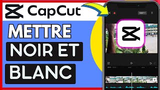 Comment Mettre En Noir Et Blanc Sur Capcut Très Facile [upl. by Luigi954]