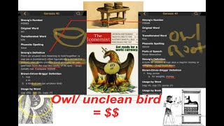 The Bennu bird  stork  owl  phoenix and the money connection What money is really backed by [upl. by Eiluj314]