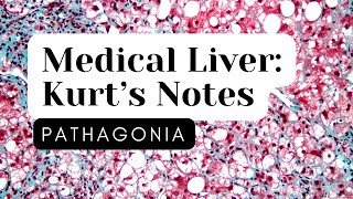 Medical Liver Kurt’s Notes pathagonia [upl. by Halbert351]