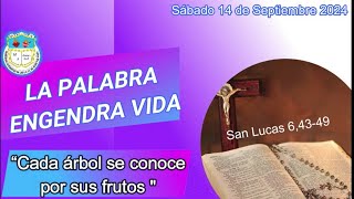 “Cada árbol se conoce por sus frutosquot Sábado 14 de Septiembre 2024 ¡La Palabra engendra vida [upl. by Cianca291]