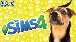 Making My Dog Dexter  The Sims 4 Raising YouTubers as PETS  Ep 3 Cats amp Dogs Expansion [upl. by Alyda977]