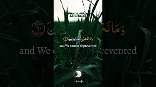 Surah Waqiah Best Recitation 🥰 P8  surahalwaqiah surahalwaqia waqia quranrecitation [upl. by Bat]