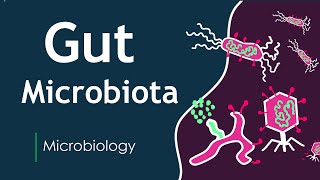 Human Gut Microbiota  Human Health  Basic Science Series [upl. by Stedt371]