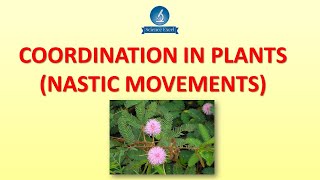 Coordination in plants nastic movements  Science Excel [upl. by Ettevol]