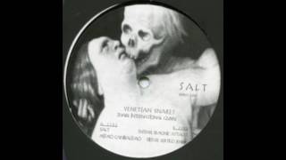 Venetian Snares  Salt Full EP [upl. by Ardnuek]