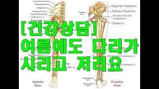 건강상담 다리가 시리고 저린 증상 Numbness of Lower Limb [upl. by Heywood191]