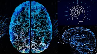 HIGHER MENTAL FUNCTION ASSESSMENT  PHYSIOLOGY PRACTICALS  CNS EXAMINATION [upl. by Odille]