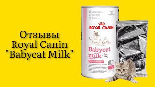 Стоит ли покупать заменитель молока для котят Royal Canin quotBabycat Milkquot с рождения 300 г отзывы [upl. by Longo803]