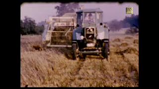 Getreideernte 1960 in der Lüneburger Heide  Historischer Film  Claas Mähdrescher Bulldog  Pferde [upl. by Latini]