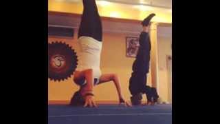 Dharma Yoga Handless SirsasanaHeadstand [upl. by Marzi]