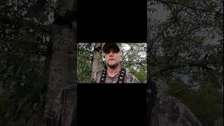 Bow hunting Arkansas opening morning fypyoutube shorts deerhunting deer bowhunting short [upl. by Laurianne]