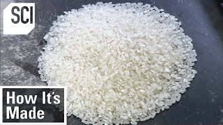 How Its Made Rice [upl. by Etteve6]