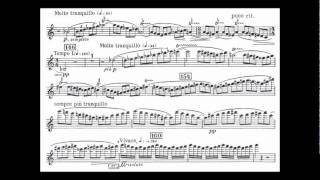 Bartok B mvt1 begin 2nd violin concerto [upl. by Clem]