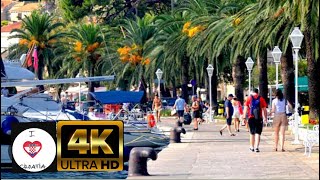 CAVTAT 🇭🇷 PROMENADE  walking 🚶‍♂️ Maj 2024 4k [upl. by Yraccaz]