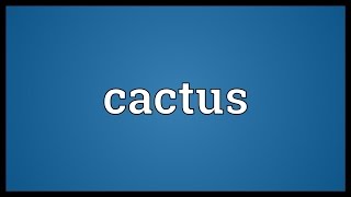 Cactus Meaning [upl. by Adnaloy]