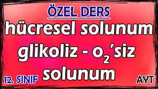 12 Hücresel Solunum  Glikoliz  Oksijensiz Solunum  Özel Ders 12 Sınıf [upl. by Eugatnom]