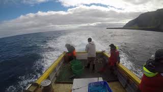 Tristan Da Cunha fishing Trip [upl. by Drexler]