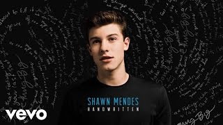 Shawn Mendes  Bring It Back Official Audio [upl. by Darooge446]