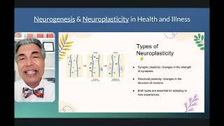 NEUROPLASTICITY and NEUROGENESIS Explained [upl. by Monk]