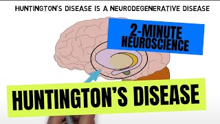 2Minute Neuroscience Huntingtons disease [upl. by Rolo]