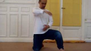 Toshi ICHIKAWA  Exercice Respiratoire en Mouvement « Pression Tan Den No 1 » [upl. by Eiffub]