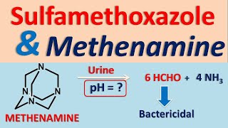 Sulfamethoxazole and Methenamine drug interaction [upl. by Paschasia413]