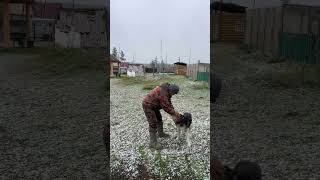 First snow❄️ Первый снег❄️ Pandasakha Yakutia❄️ winter iscoming [upl. by Guntar]