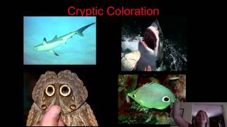 BIO 112 Community Ecology Part II [upl. by Aneela]