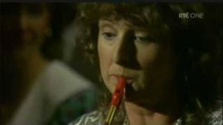 Mary Bergin Tin Whistle [upl. by Atekihs]