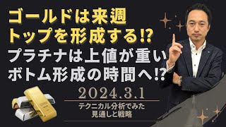 NYゴールド・金先物・NYプラチナ・白金先物：金価格は来週トップを形成する！？白金価格はボトムを形成する時間へ！？【金価格・白金価格】テクニカル分析でみた見通しと戦略 20240301配信 [upl. by Bauske]