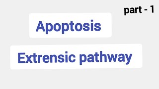 ApoptosisCaspasesProgrammed cell deathExtrensic pathway intrensic pathway [upl. by Chance]