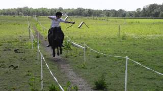 Mounted Archery  Swedish Grand Prix 2014 Ringhult Sweden [upl. by Neelrihs]