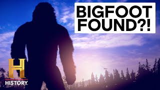 The Proof Is Out There 5 Mysterious Bigfoot Encounters [upl. by Magner285]