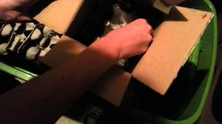 Unboxing 500 Crickets from Flukers Farms [upl. by Goeselt]