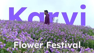 Karvi Flower Festival  Lonavala  Maharashtra [upl. by Illona438]