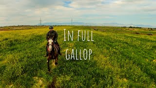 In Full Gallop  Horse Riding In The Green Valley Horse Gallop Episode 4 [upl. by Dehsar497]